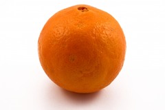 <p>an orange</p>