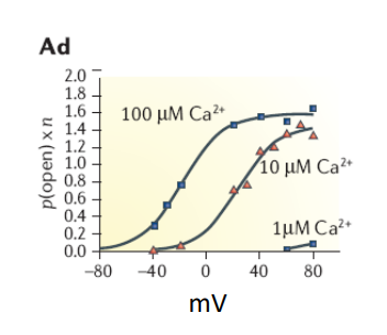 <p>what does this graph show?</p>