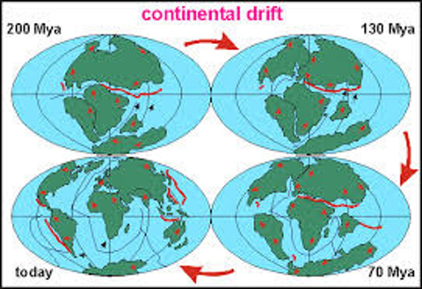 <p>the gradual movement of the continents across the earth's surface through geological time.</p>