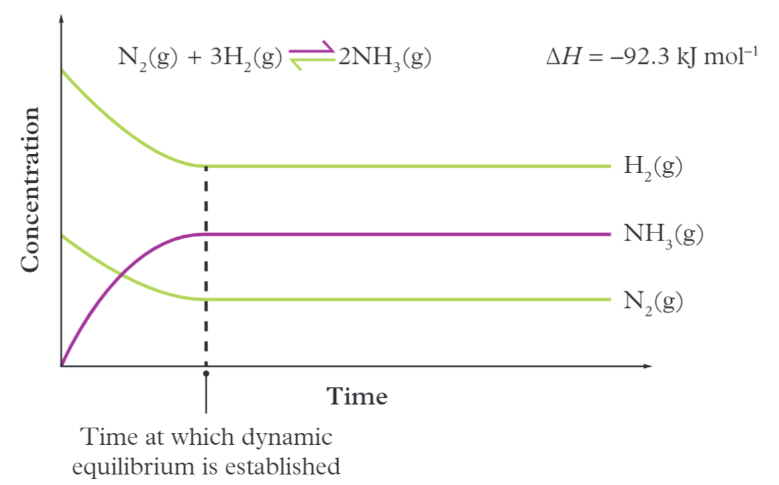 <p>A graph where <strong>equilibrium is reached</strong> and when the concentration of all species is <strong>constant</strong></p>