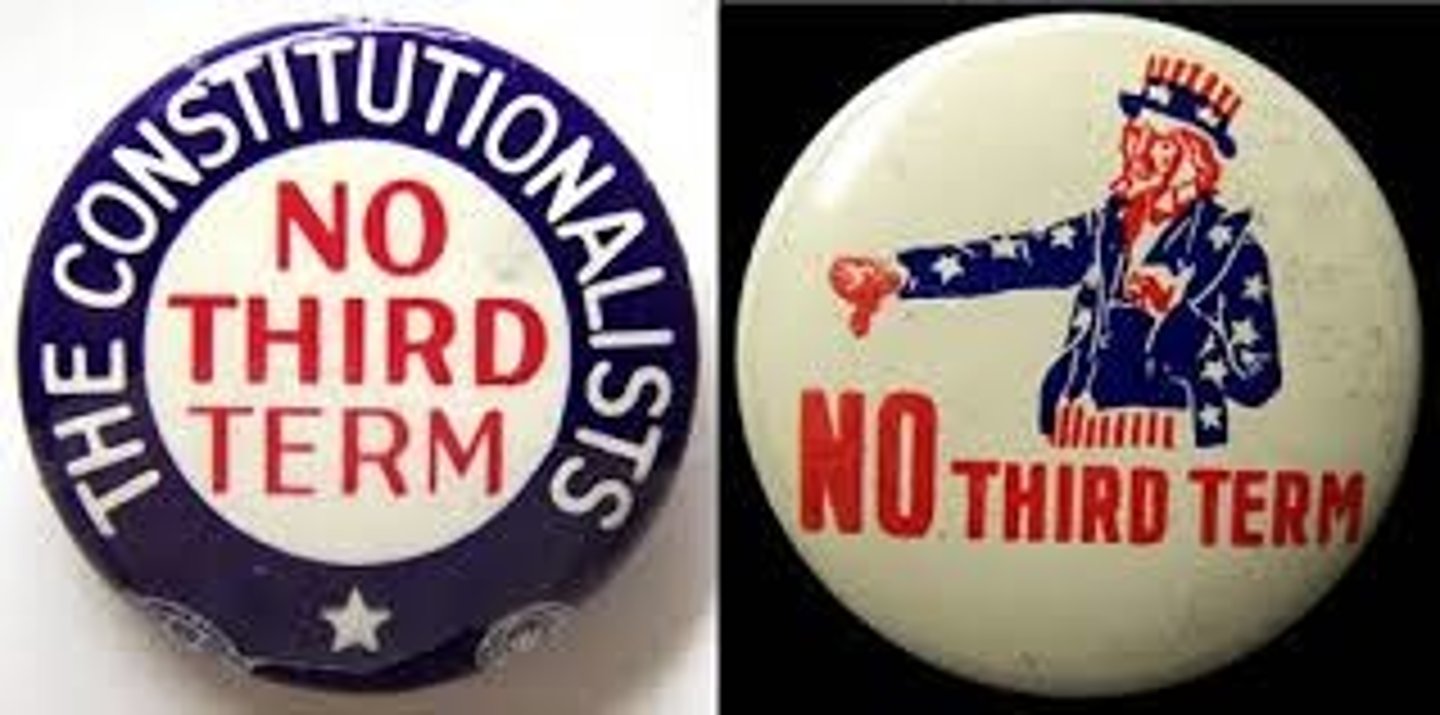 <p>22nd amendment</p>