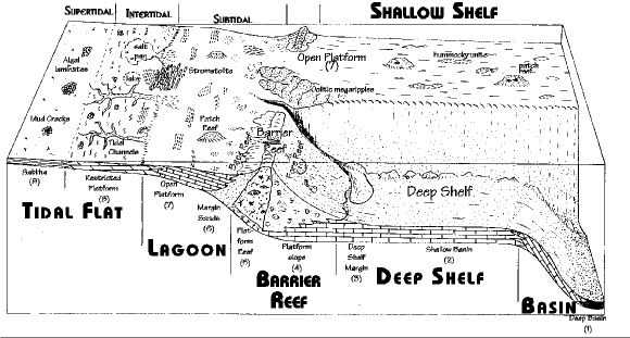 <p>Deep shelf (2)</p>