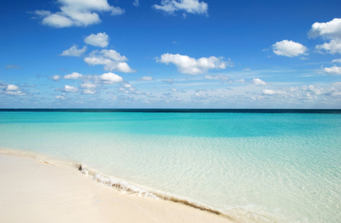 <p>bakir/tertemiz</p>