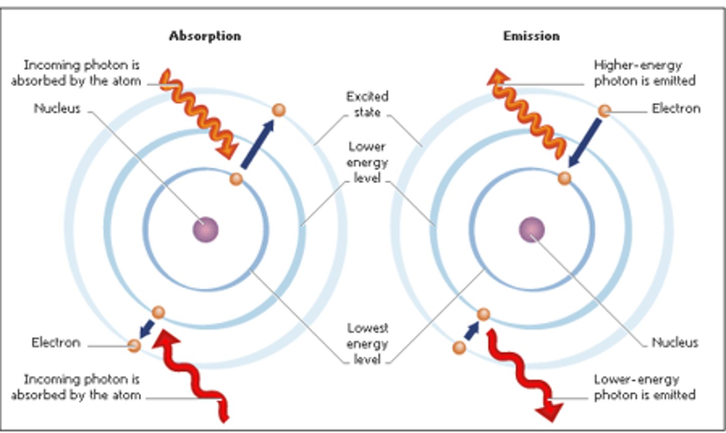 <p>light energy is used to move electron from a lower energy level to a high energy level. In the Bohr model, the electron moves away from the nucleus.</p>