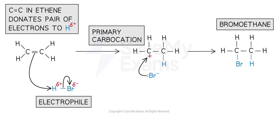 <p>1 pi bond breaks, electrons are attracted to delta positive hydrogen and a pair of e- forms a new bond with delta + hydrogen</p>