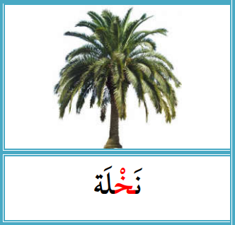 knowt flashcard image