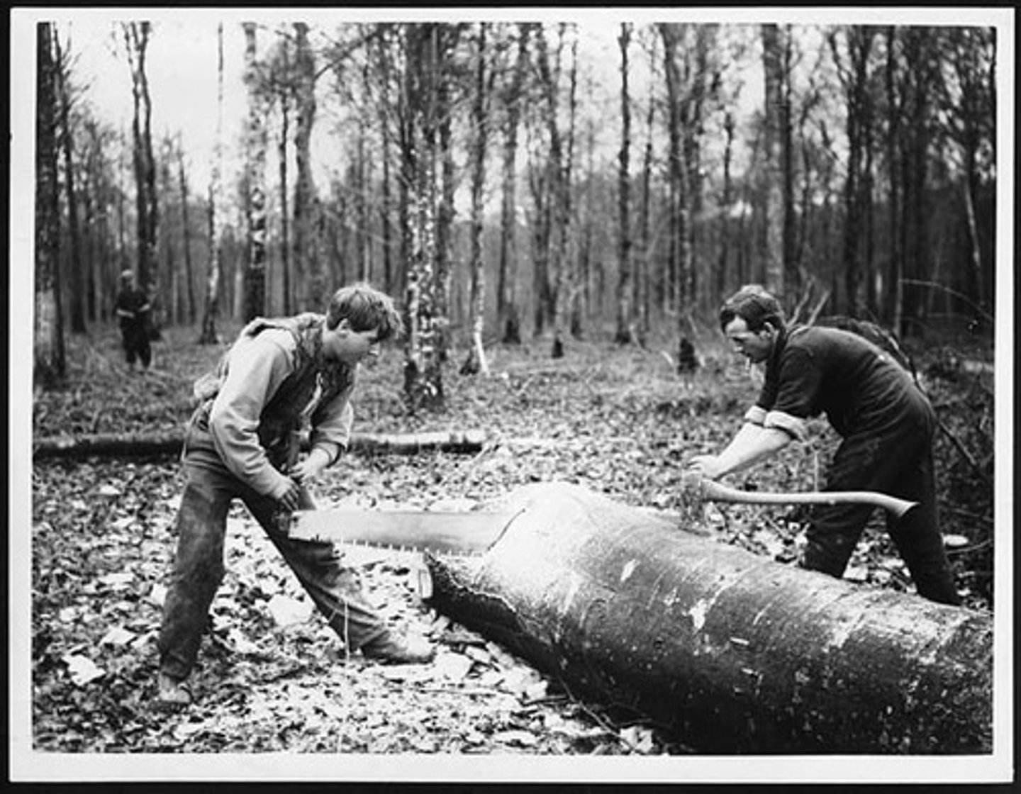 <p>adapt, modify, &amp; depend on enviroment</p>