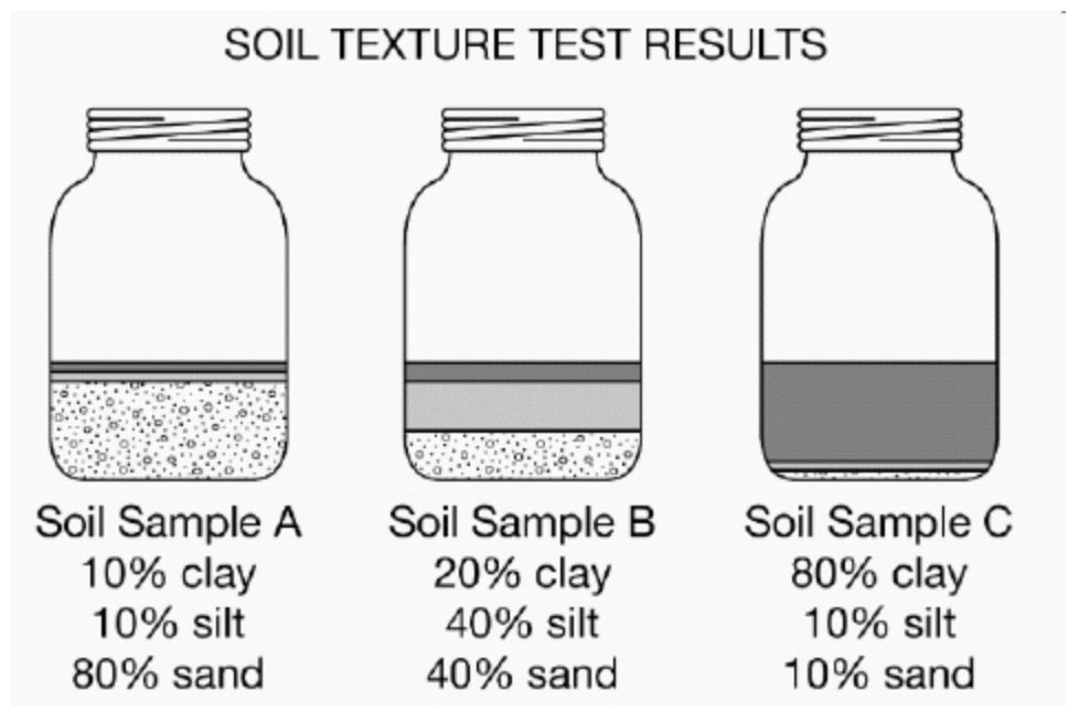 <p><span>A group of students wanted to determine if soil texture can vary by location. Several students brought in a sample of soil from their backyards. Each student added their soil sample of equal mass to a jar with exactly the same amount of water, shook the contents so that all soil particles were suspended in the water, and left the jars covered overnight. The next morning, the soil particles had settled out into layers and students could determine the percentage of each type of particle. The results of their soil test are shown below.</span></p><p>A student claims that soil sample <strong>B</strong> would be classified as a loam. Which of the following best describes the method used by the student to reach this conclusion?</p>