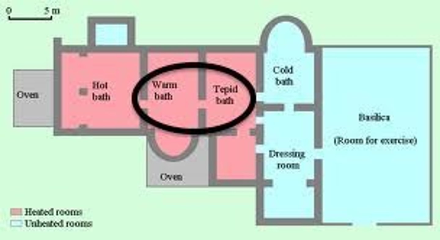 <p>The warm-bath section of a Roman bathing establishment</p>
