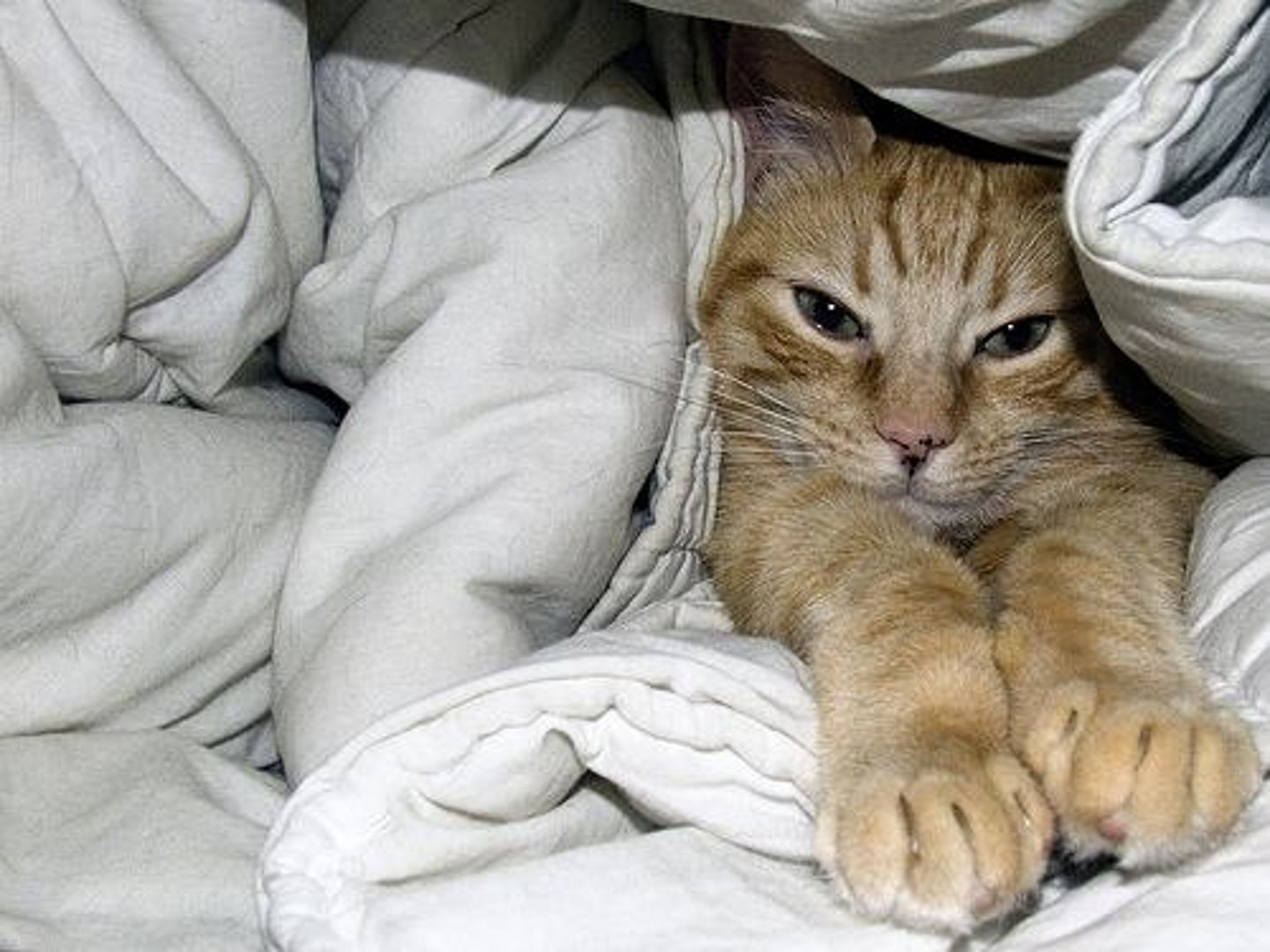 <p>Having no motion or change</p>