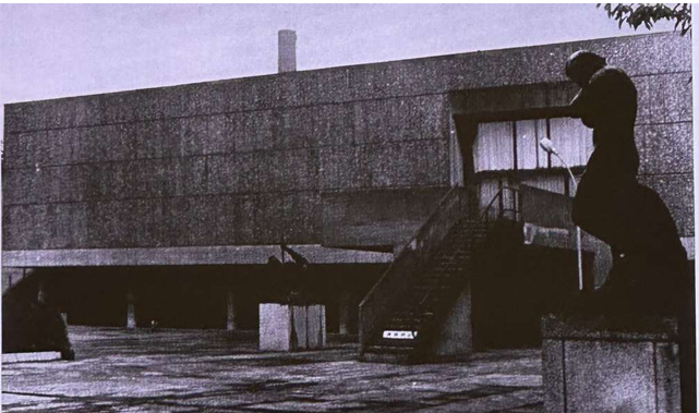 term image