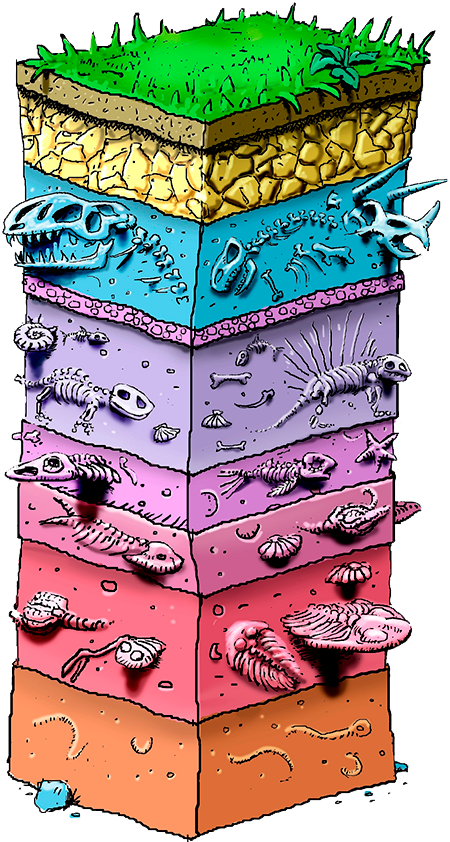 <p>Acknowledged annings work</p><p>Developed palaeontology</p><p>Proved that species go extinct </p>