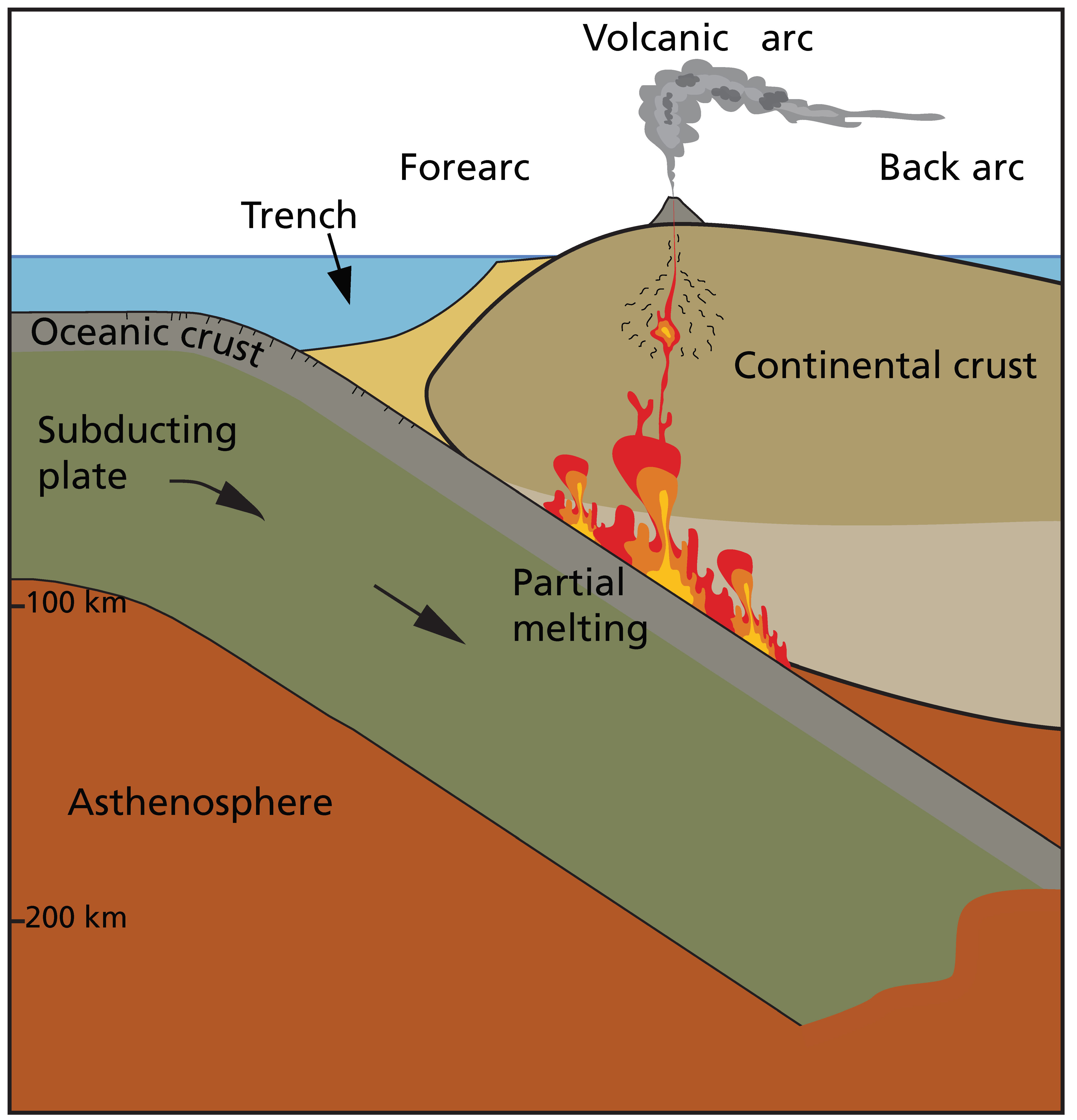 <p>-Steep, narrow volcano! results from subduction zone (where two tectonic plates collide) as one dense oceanic plate pushes into the lighter continental plate from the bottom/side and forces the ground up. as lava comes up it also grows that way</p><p>-as the oceanic crust pushes down into the manel the friction melts it, which creates gases that rise up out of volcano. magma from underneath comes up and is released as lava</p><p>-”stato” means layers, which happen as lava and ash pile up and create distinct layers that form/ grow overtime! :33</p><p>-oceanic wants to go underneath because it is more dense and heavy, is usually underwater, and continental plates are higher up</p>