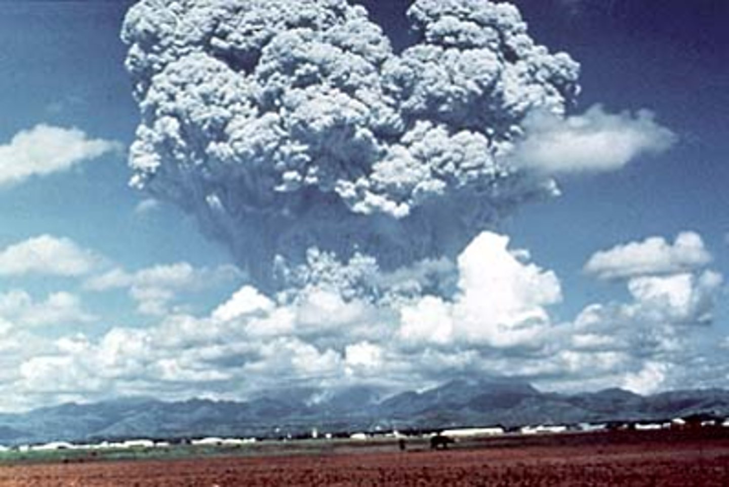 <p>= 24 active volcanoes on its islands<br><br>· Mayon<br>... most active, has erupted ~50 times in the last 400 years<br>... most destructive event = 1814<br>... last eruption = 2014<br>= noted for its lahars<br><br>· Pinatubo<br>... erupted in 1991, 2nd largest eruption on the planet in 20th century<br>... large numbers of people live in its vicinity (500,000 people within 40km)<br>... early warnings and evacuations saved at least 5,000 people 1991<br>- Explosion was so violent that it hurled gases, ash, and steam into the upper atmosphere where they continued to affect global temperatures for at least 2 years (average global temperature fell by 0.5c)<br>- Followed by the typhoon Yunya, with very heavy rainfall that produced deadly lahars when combined with ash. Final death toll = around 850<br><br>· Taal<br>... one of most active volcanoes, having erupted 33 times on historical record<br>... eruptions come from a crater lake formed when a prehistoric explosion created the caldera<br>... thought to be historically responsible for 5,000-6,000 deaths as lies near to populated areas</p>