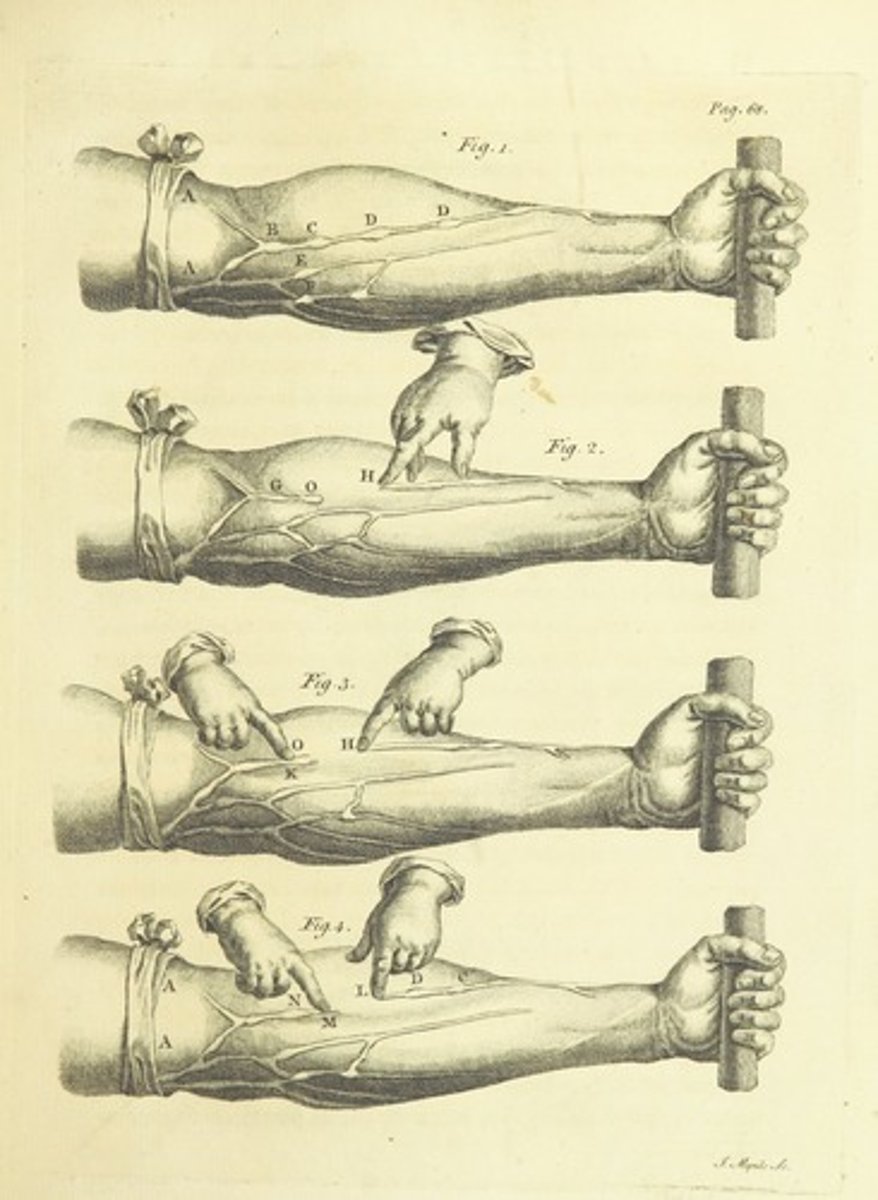 <p>English physician from the 17th century who demonstrated circular movement of blood in animals, and the function of the heart as a pump</p>