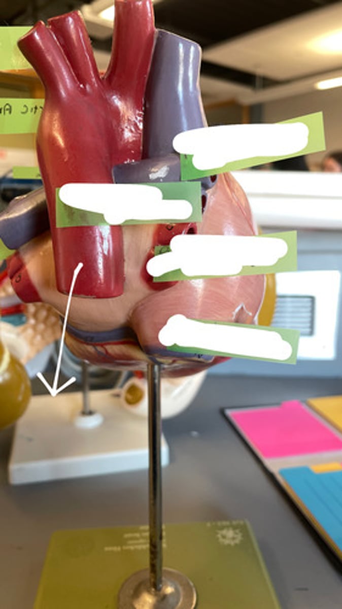 <p>ID the structure</p>