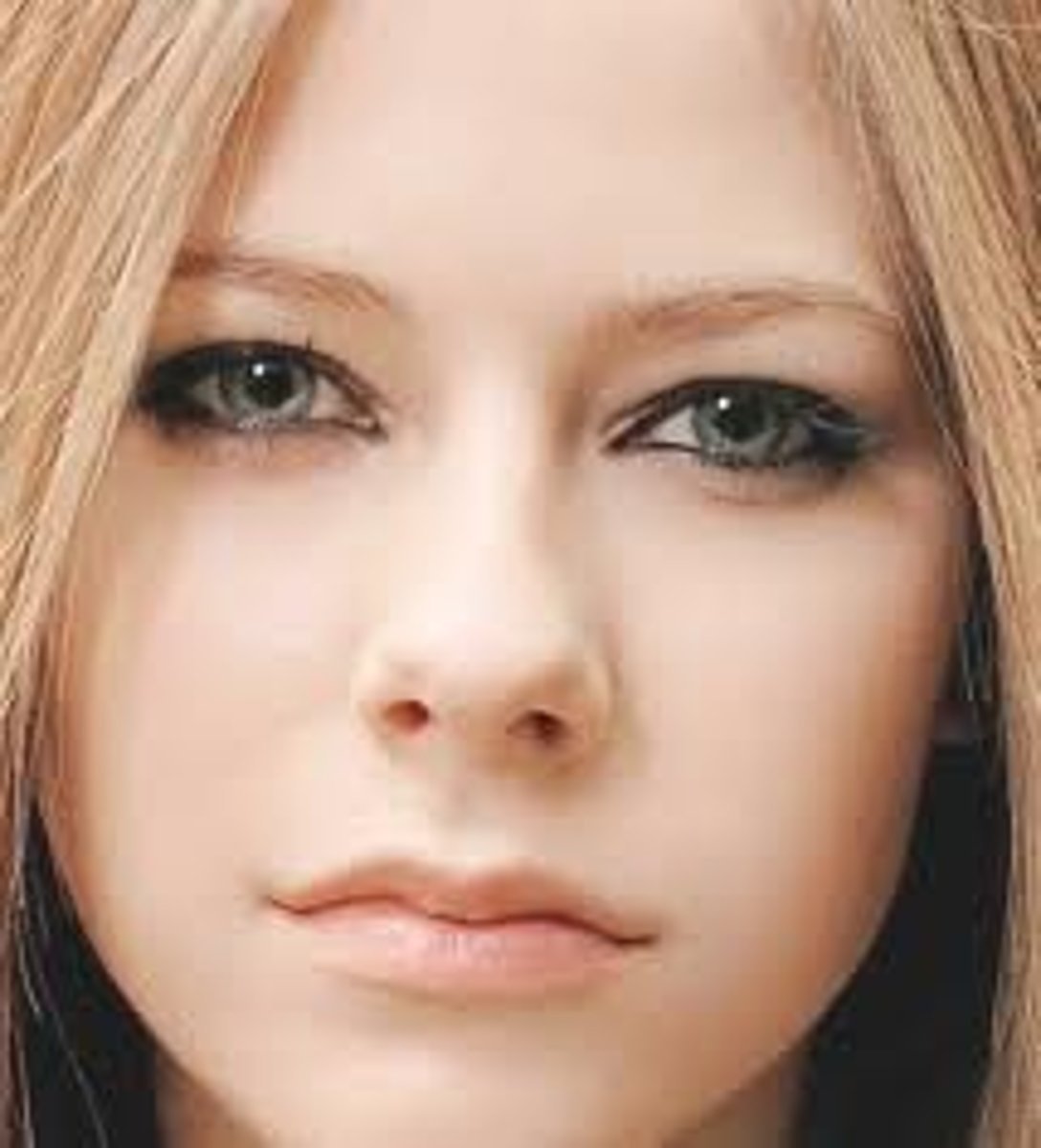 <p>the face</p>
