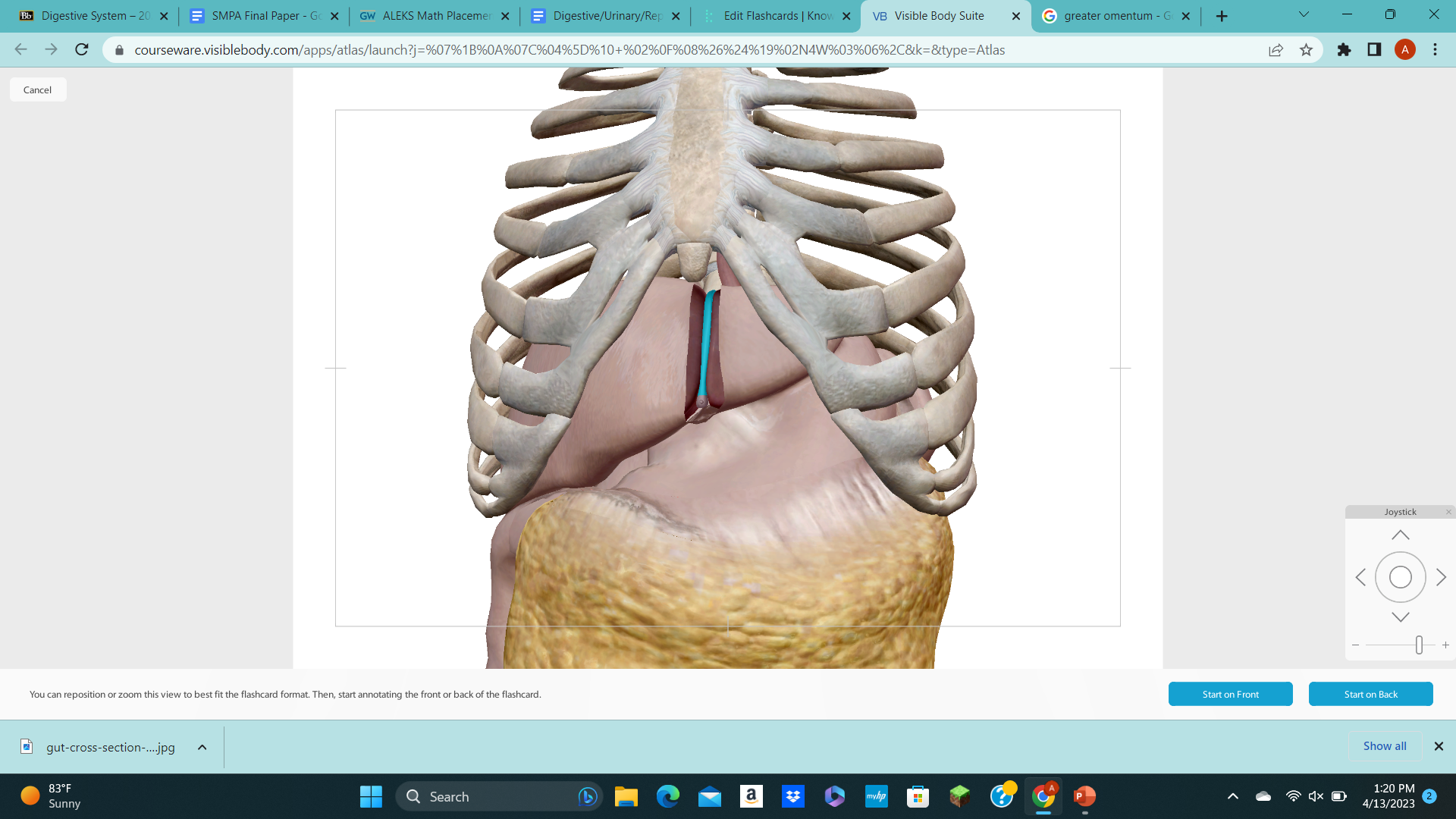 knowt flashcard image