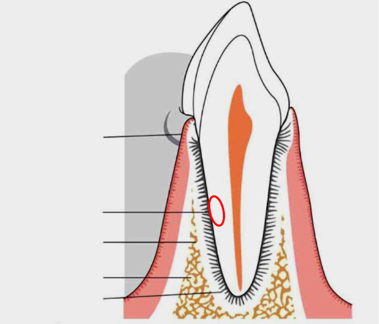<p>What is this?</p>