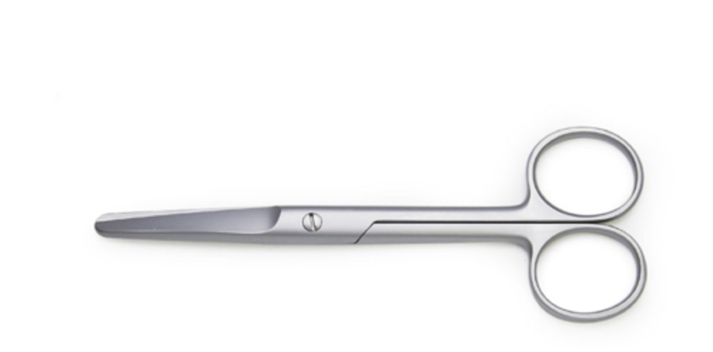 <p>- suture scissors</p>