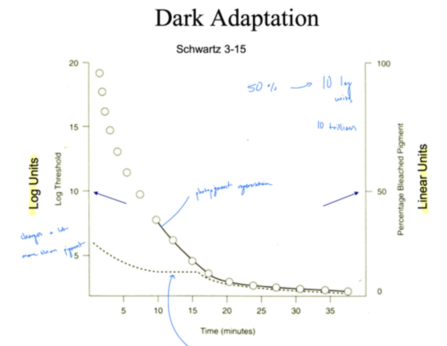 <p>not a direct relationship (i.e. the number of photopigments are NOT a direct correlation to the threshold)</p><p>relationship is exponential and in log units, so as you regain photopigment you dramatically regain sensitivity and decrease threshold</p>