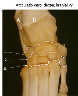 <p>Vad är 2? Vilken typ?</p>