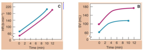 - Identify tasks that should be performed in the same manner

- Standardize procedures used by Soldiers

- Reduce the effects of personnel turbulence.
- Some marketers of services strive to reduce service inconsistency through training and standardization. 
- Enterprise Rent-a-Car, for instance, has worked to standardize its service delivery across North America and, to that end, provides extensive training to its associates.
- Go to any Enterprise outlet at any airport and chances are you will be greeted in the same personalized way.
- The airport shuttle drivers will load and unload your bags. When you get off the shuttle, you will be greeted by name, and your car will be ready to go in minutes.
- This smooth and pleasant service transaction is the result of the company's very specific service standards and excellent training program.