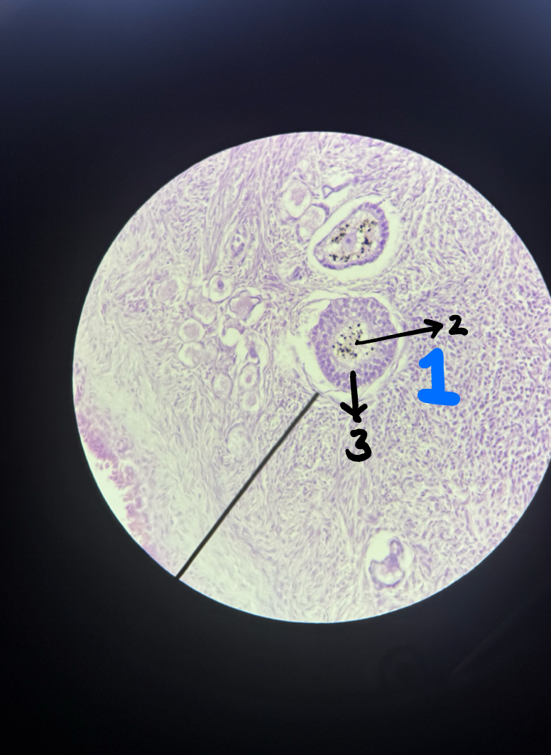 <p>2</p>