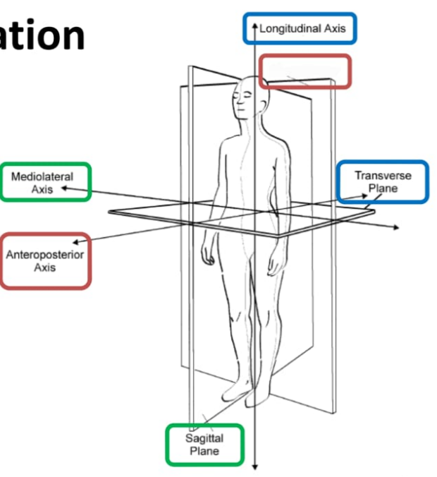 <p>Frontal plane</p>