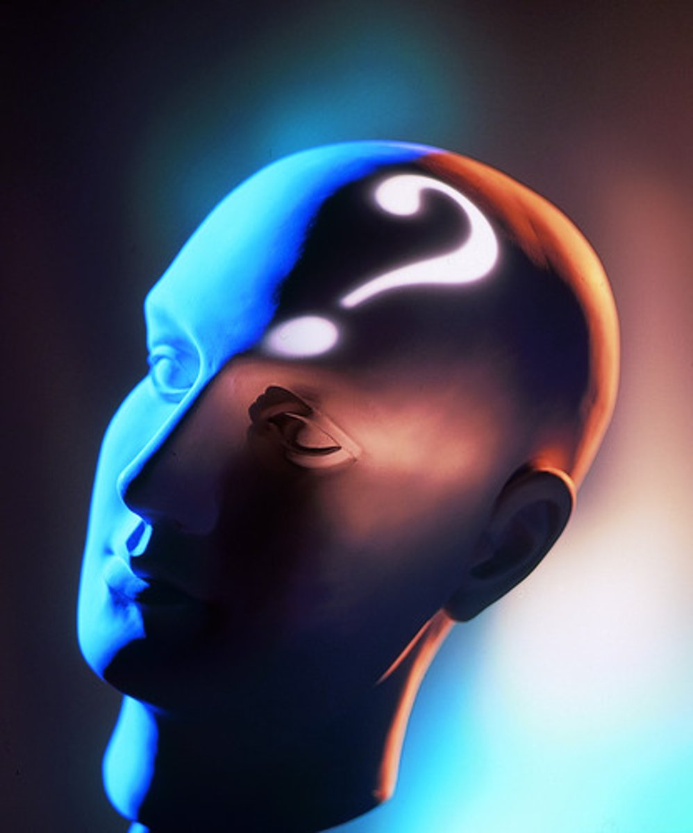 <p>study of basic truths and ideas</p>