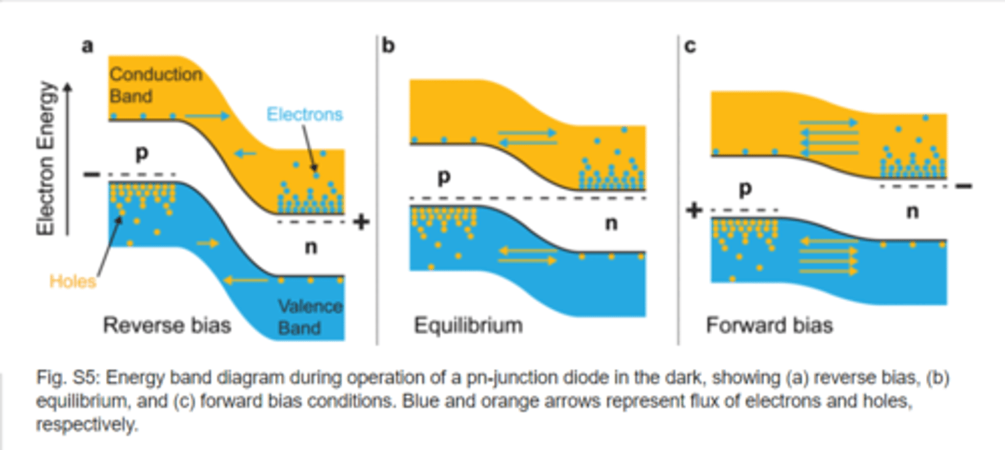 <p>The p-type side is more positive, so that it is 'downhill' for electron motion across the junction and reduces the slope in the depletion layer.</p>