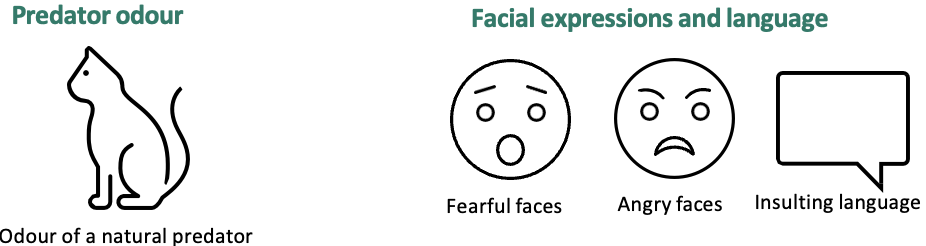 <ol start="2"><li><p>non-human → human research </p></li></ol><ul><li><p>we can translate animal research to model human brain activity but there are some methodological differences to consider </p></li><li><p>e.g. <span><span>Species-specific unconditioned stimuli</span></span></p><ul><li><p><span><span>Natural unconditioned stimuli differs which may impact how information is processed in the brain</span></span></p></li><li><p><span><span>sensory modality of CS - human studies typically use a visual CS whereas rodent studies tend to use auditory CS </span></span></p></li></ul></li></ul><p></p>