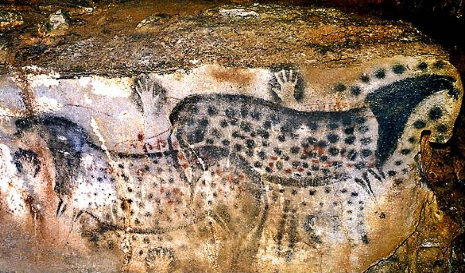 <ul><li><p>c. 25,000 BCE</p></li><li><p>on the wall of a chamber in Pech-Merle Cave (France)</p></li><li><p>tapering of horses head follows the shape of the rock</p></li><li><p>at a later date a large red fish was painted on top of the spots</p></li><li><p>painters left their handprints around the animal as signatures </p></li></ul><p></p>