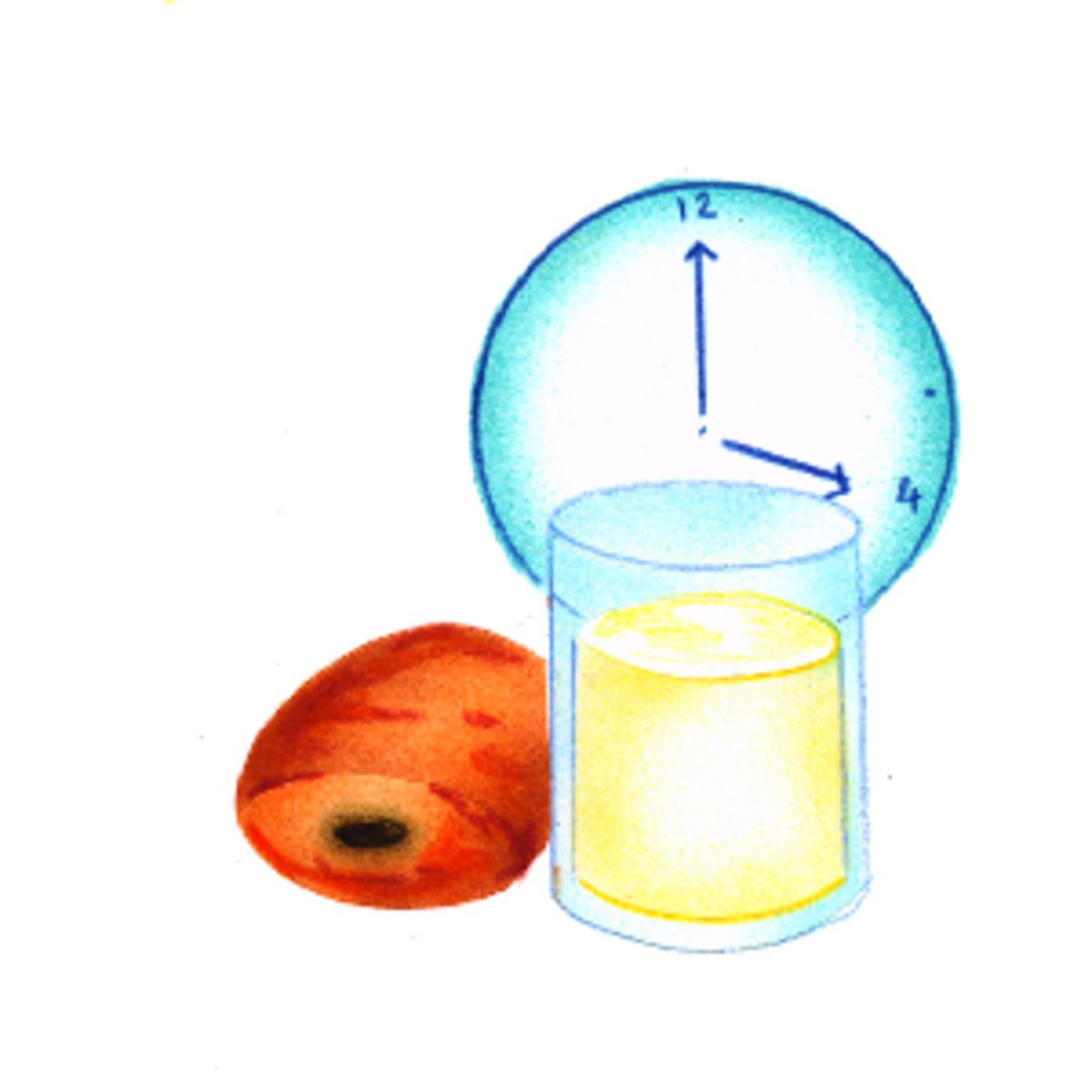 <p>snack</p>