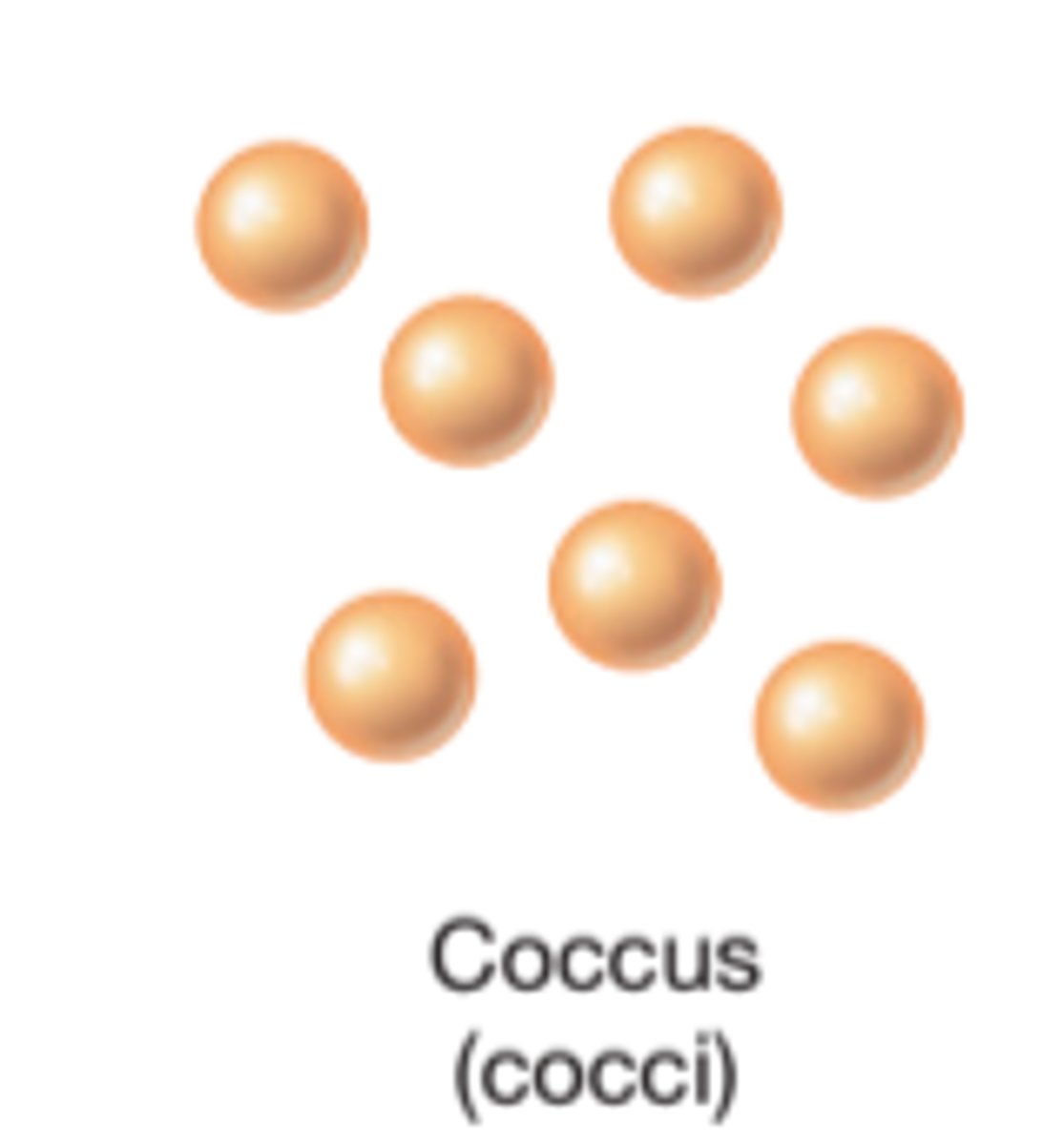 <p>Spherical</p>