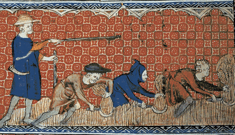 <p>lowest group in Feudalism.  They were bound to the land they worked on and had less rights than anyone else during the Middle Ages</p>