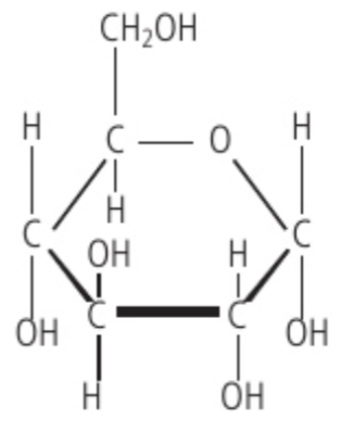 <p>Glucose is an example of this structure, where it’s carbon backbone is composed of 6 carbons.</p><ul><li><p>Chemical formula: C<sub>6</sub>H<sub>12</sub>O<sub>6</sub></p></li></ul>