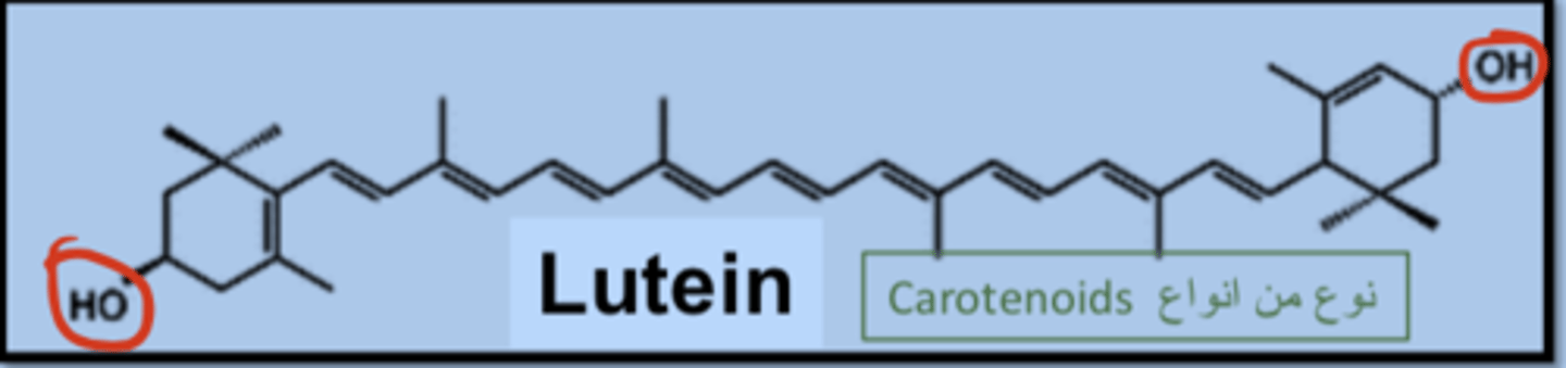 <p>extended conjugated double-bond system, polyene chain exists in cis or trans form. Light, oxygen, heat, pH can convert trans carotenoids into cis carotenoids. This is not ideal because trans-lutein has higher bioavailability</p>