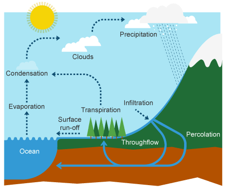 <p>the flow of water that occurs when excess stormwater, meltwater, or other sources flows over the earth's surface</p>