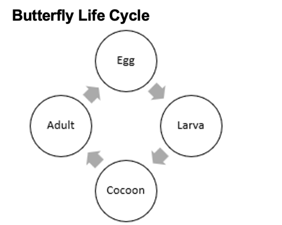 <p>Conceptual model</p>