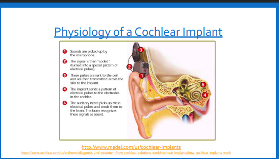 <p><span>Cochlear implants are designed to bypass damaged hair cells and stimulate the auditory nerve directly through the application of electrical current. The cochlear implant replaces damaged hair cells in the cochlea and does their job for them</span></p>