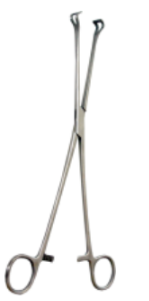 <p>What are Babcock tissue forceps used for?</p>