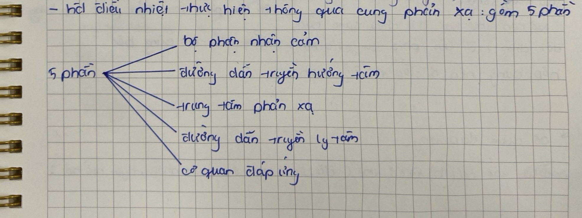 knowt flashcard image