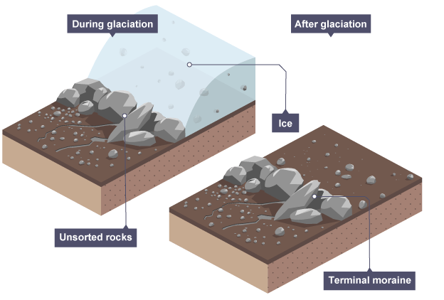<p>Formation of terminal moraine</p>