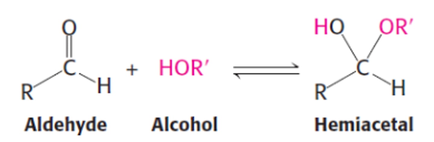 <p>- recognize by retention of -OH group</p>