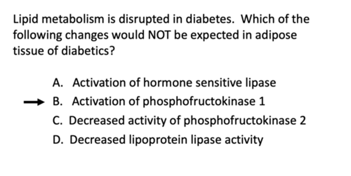<p>B. Activation of phosphofructokinase 1</p>