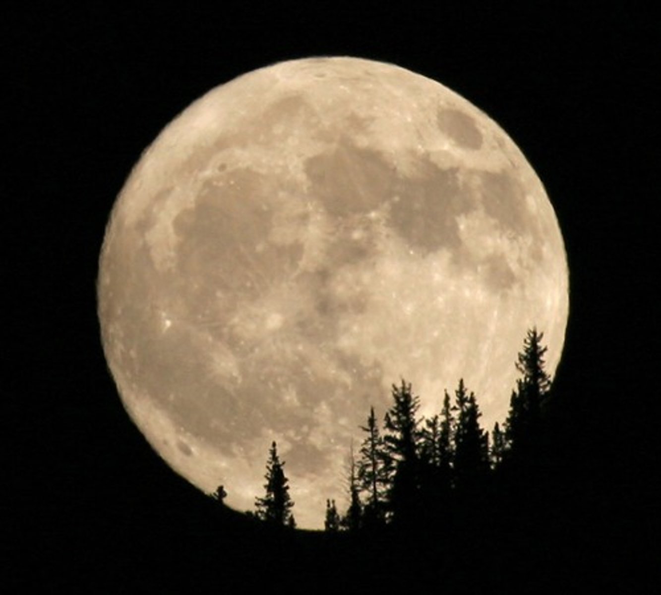 <p>bulan purnama</p>