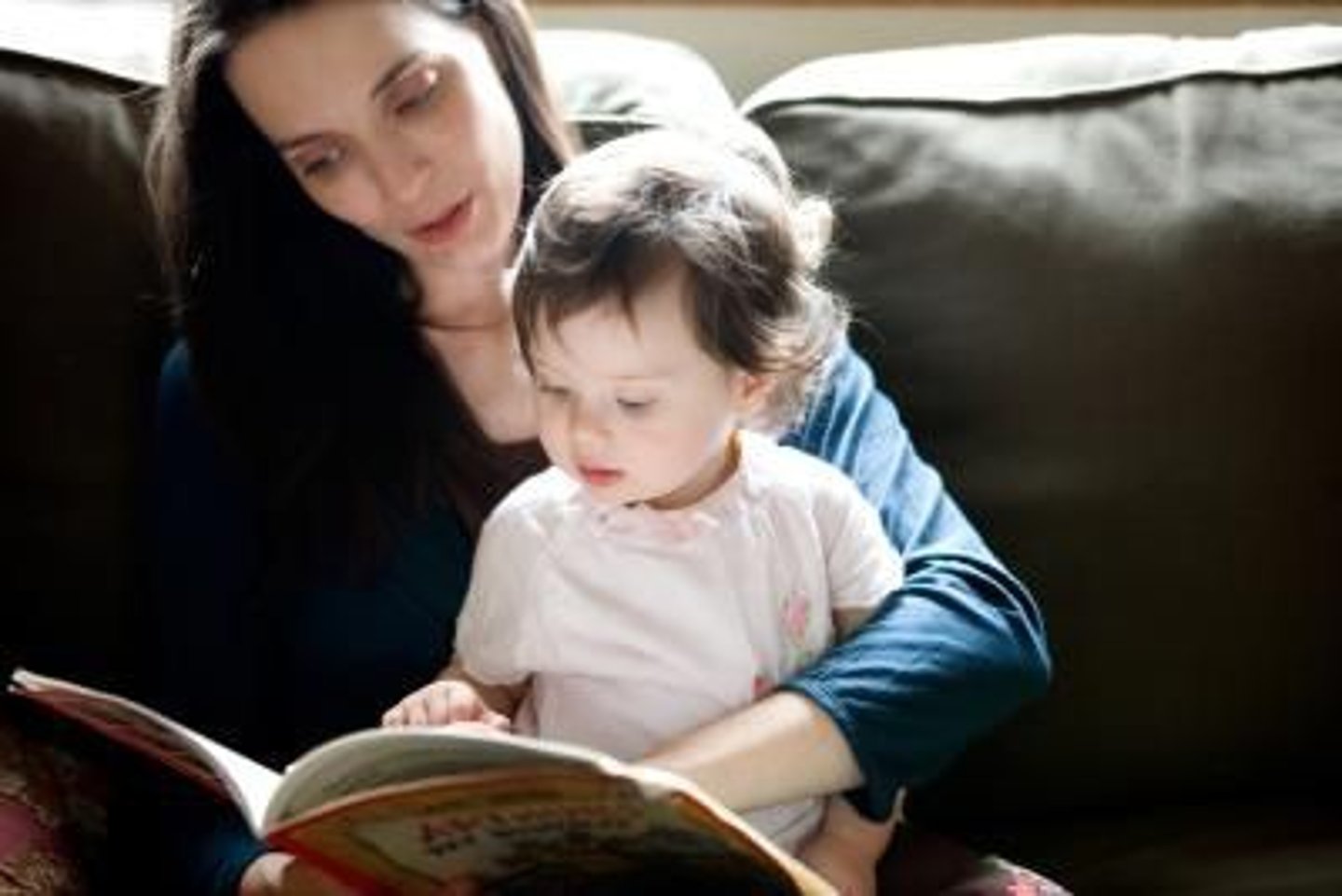 <p>to educate</p>