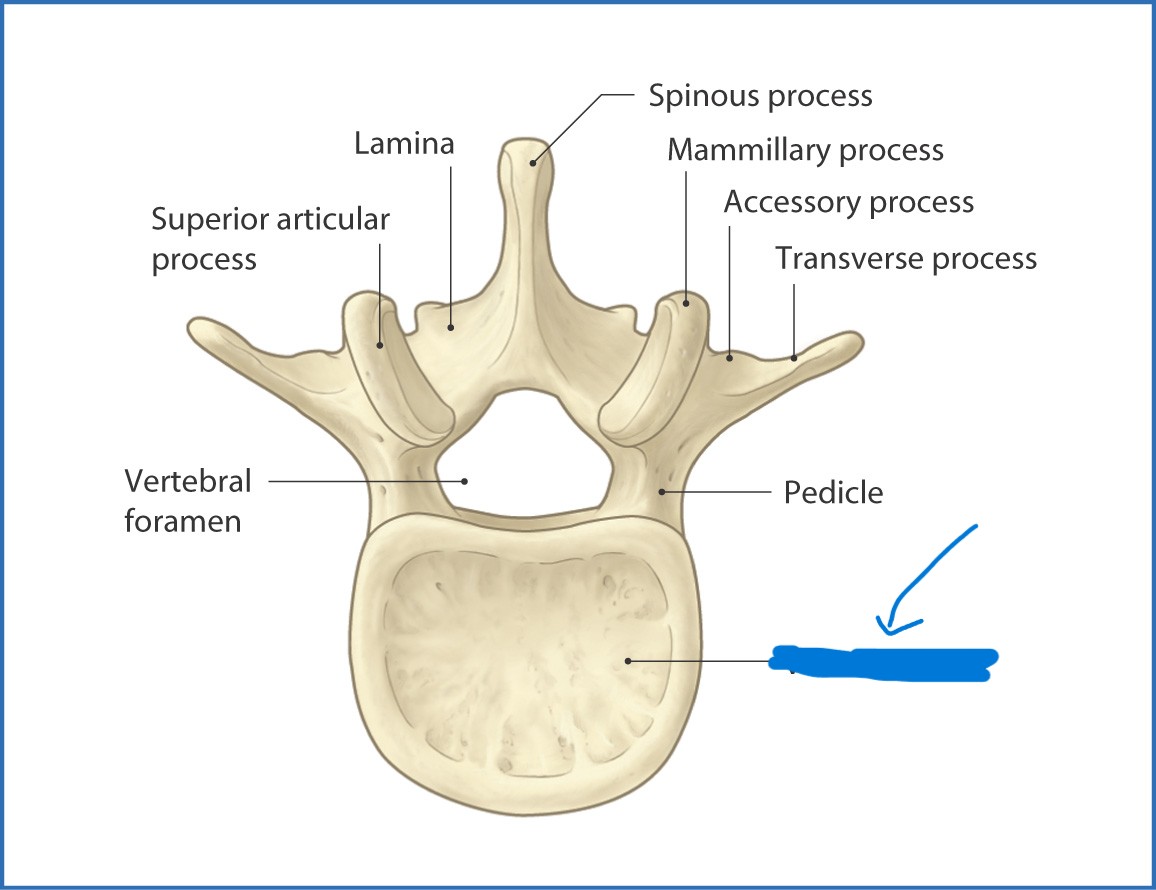 <p>What is this part called?</p>