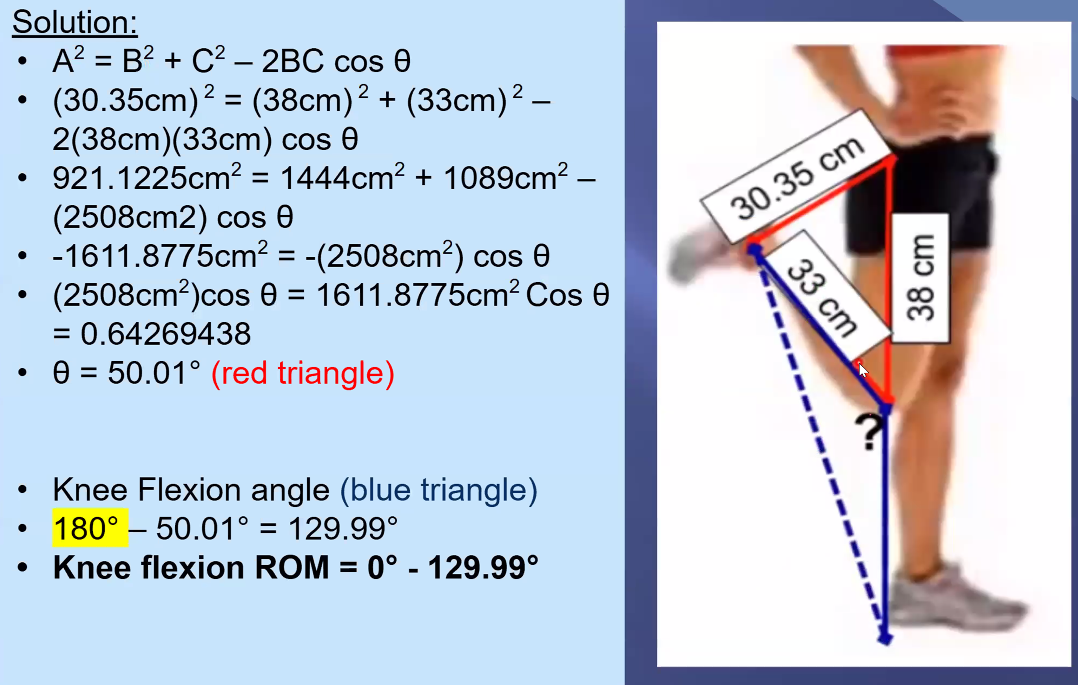 <p>Example 3 (Type 1)</p>